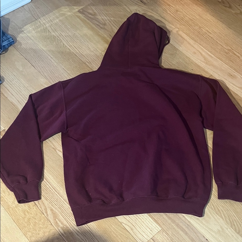 Danny Duncan Virginity Rocks Hoodie - Picture 3 of 3